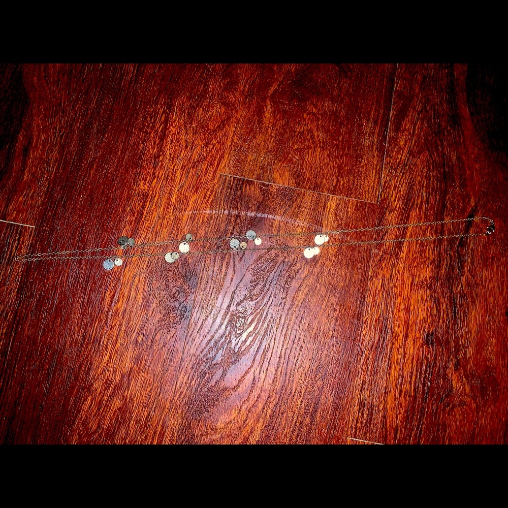 Long silver dot necklace